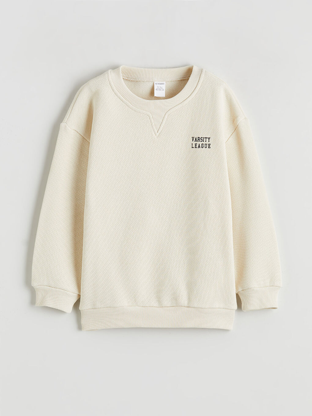 Crew Neck Printed Boys' Sweatshirt