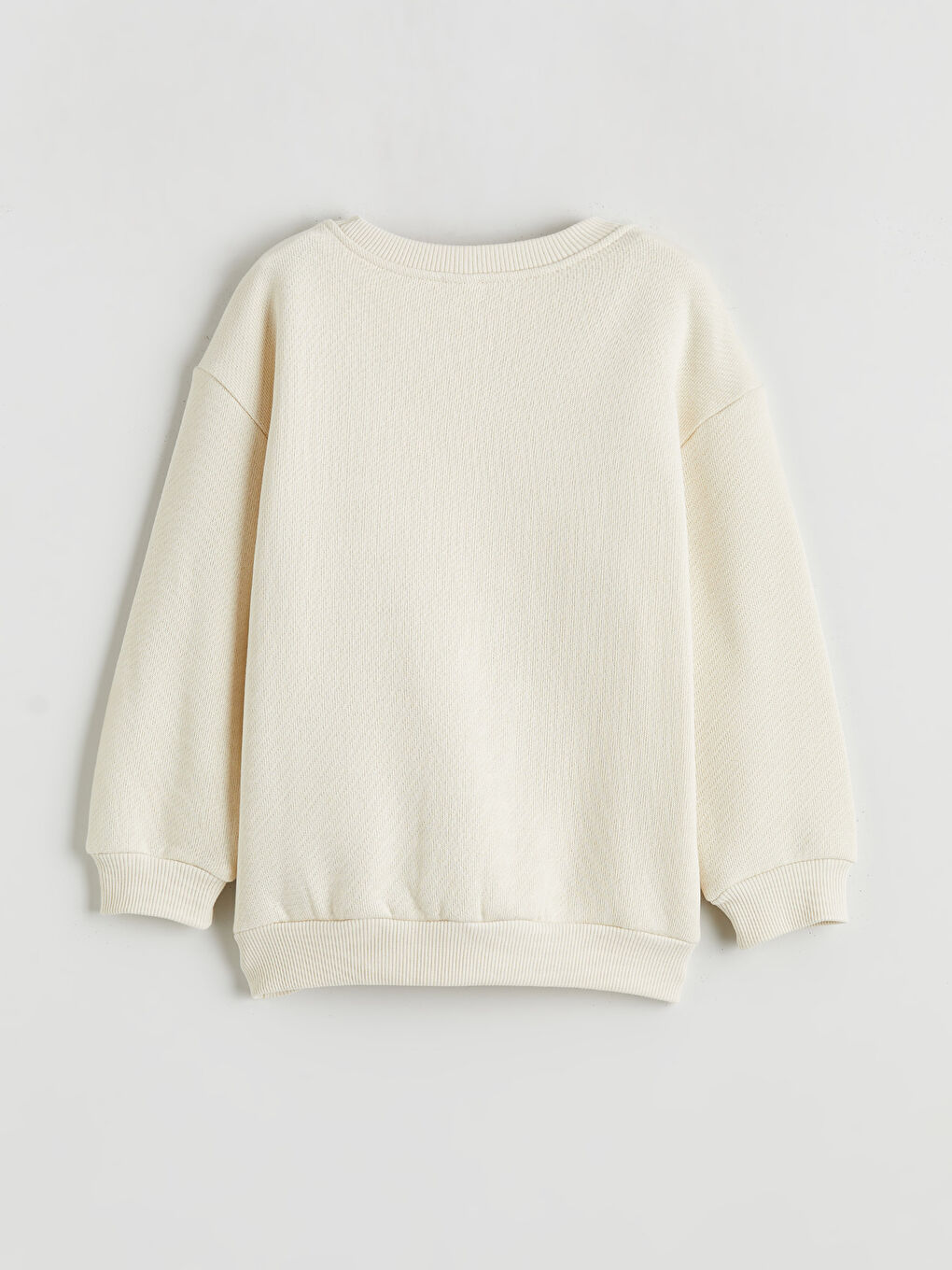 Crew Neck Printed Boys' Sweatshirt-1