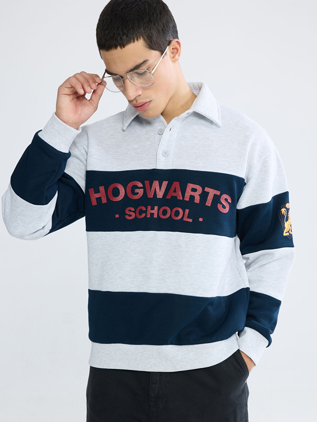 Polo Neck Harry Potter Printed Men's Thick Sweatshirt
