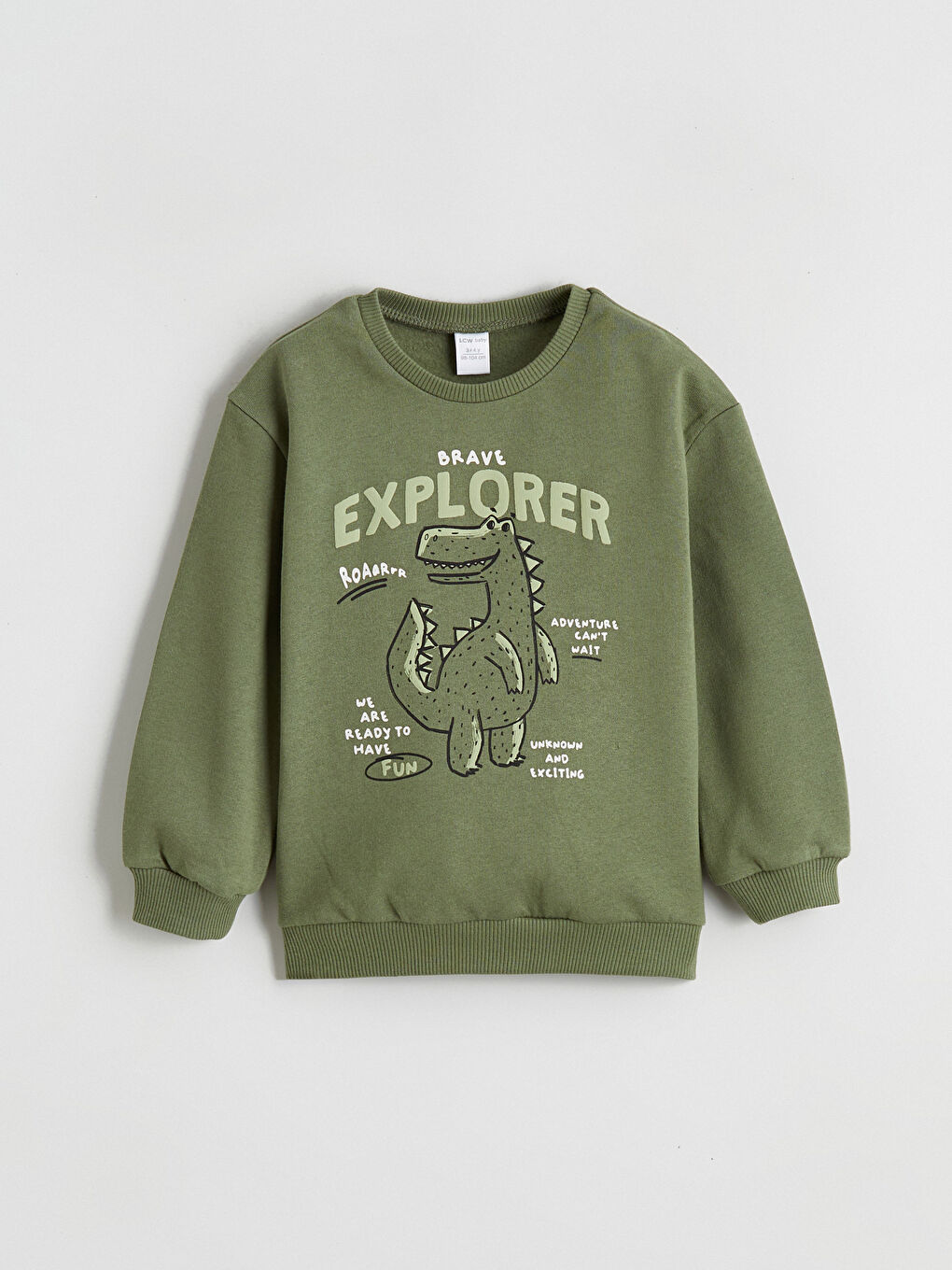 Dinosaur Printed Baby Boys' Sweatshirt
