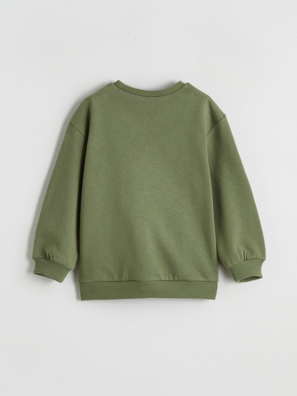 Dinosaur Printed Baby Boys' Sweatshirt-3