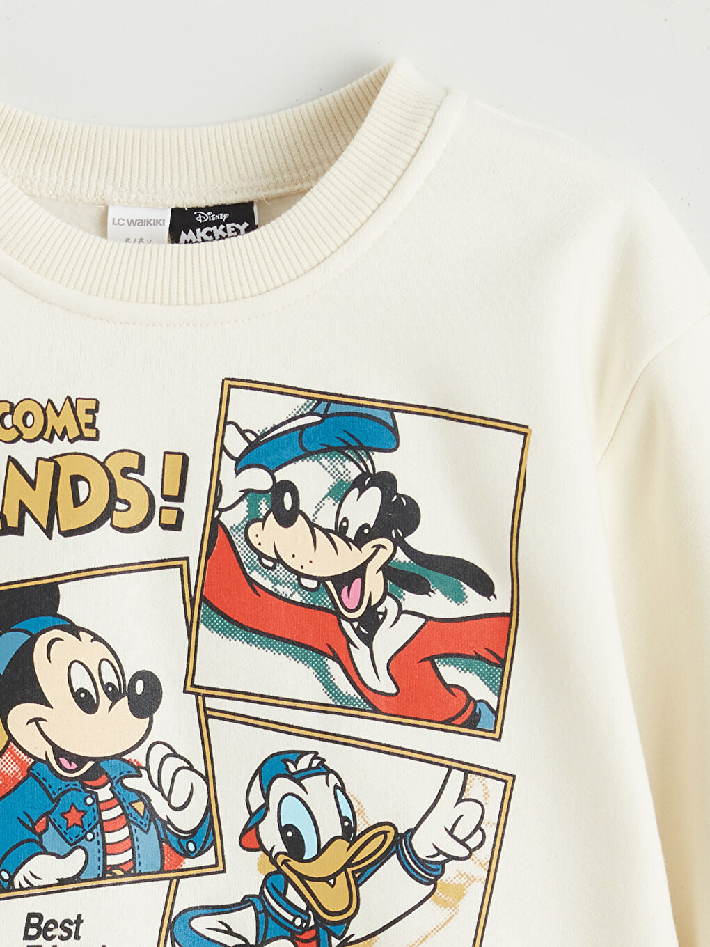 Mickey Mouse Printed Boys' Thick Sweatshirt-1