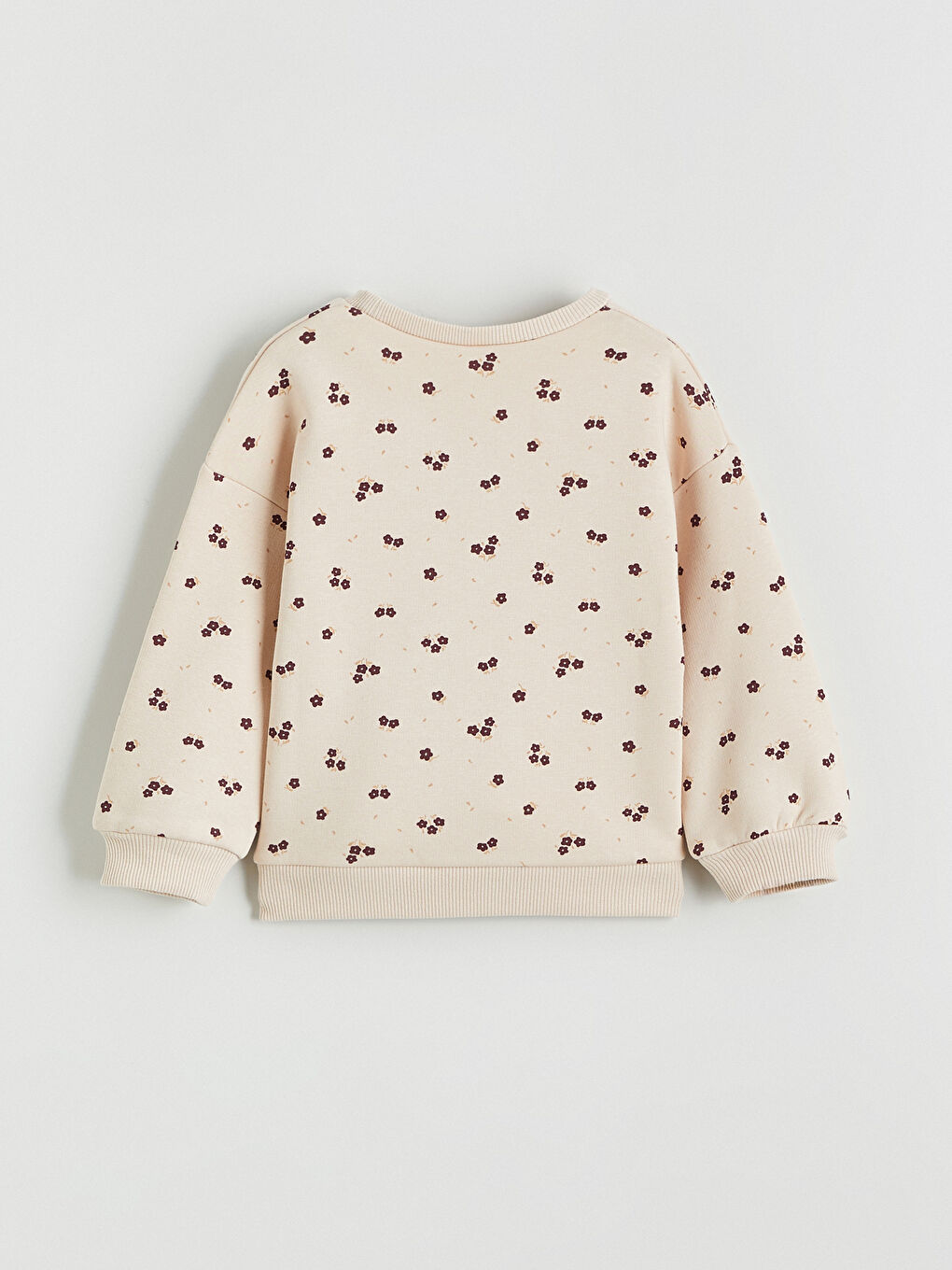 Bisiklet Yaka Ayı Teddy Nakışlı Kız Çocuk Sweatshirt-3