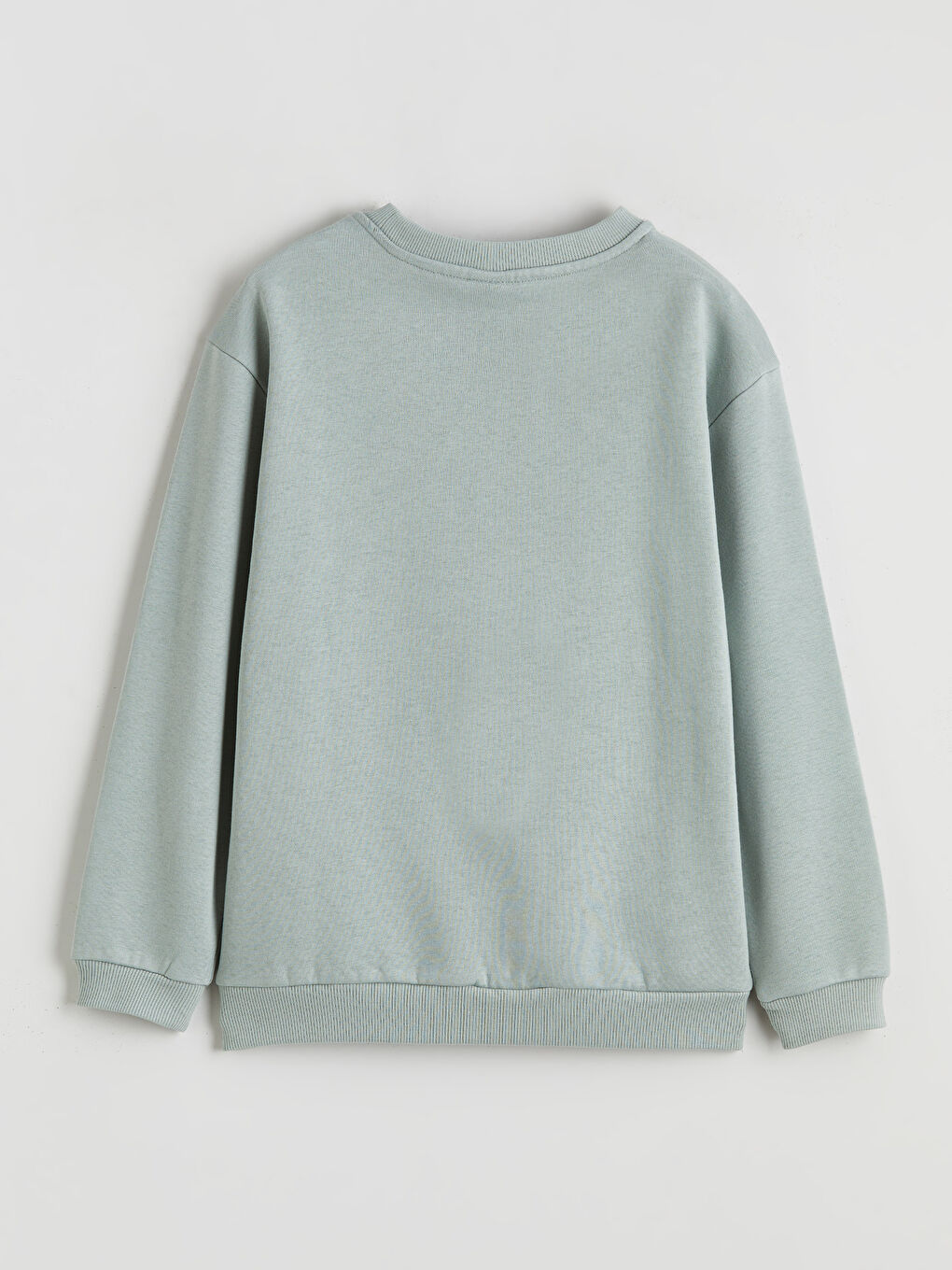 Crew Neck Boys' Thick Sweatshirt-1