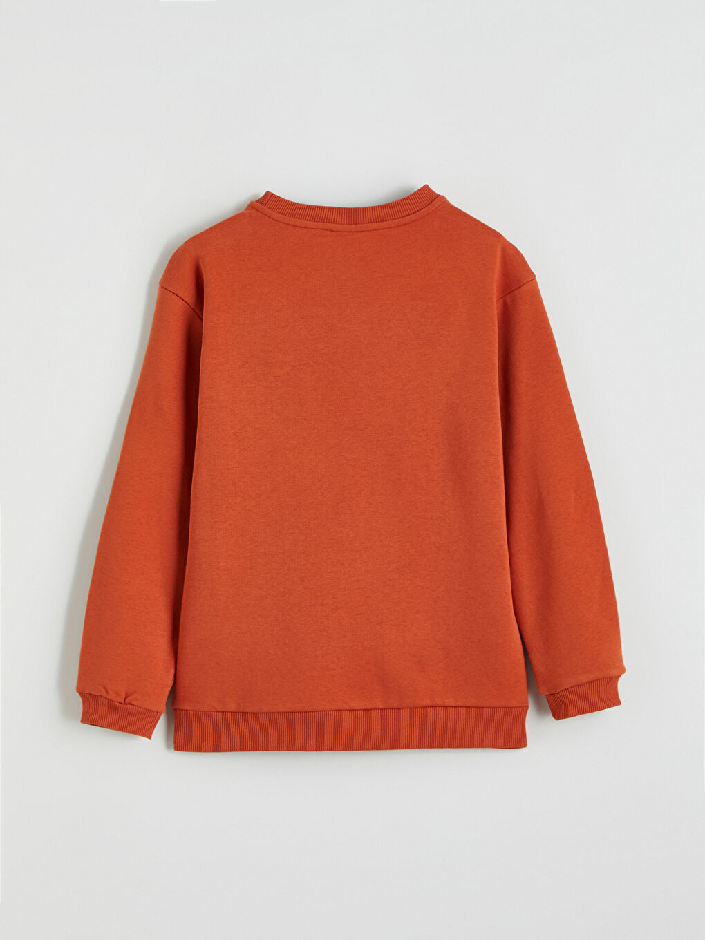 Crew Neck Boys' Thick Sweatshirt-3