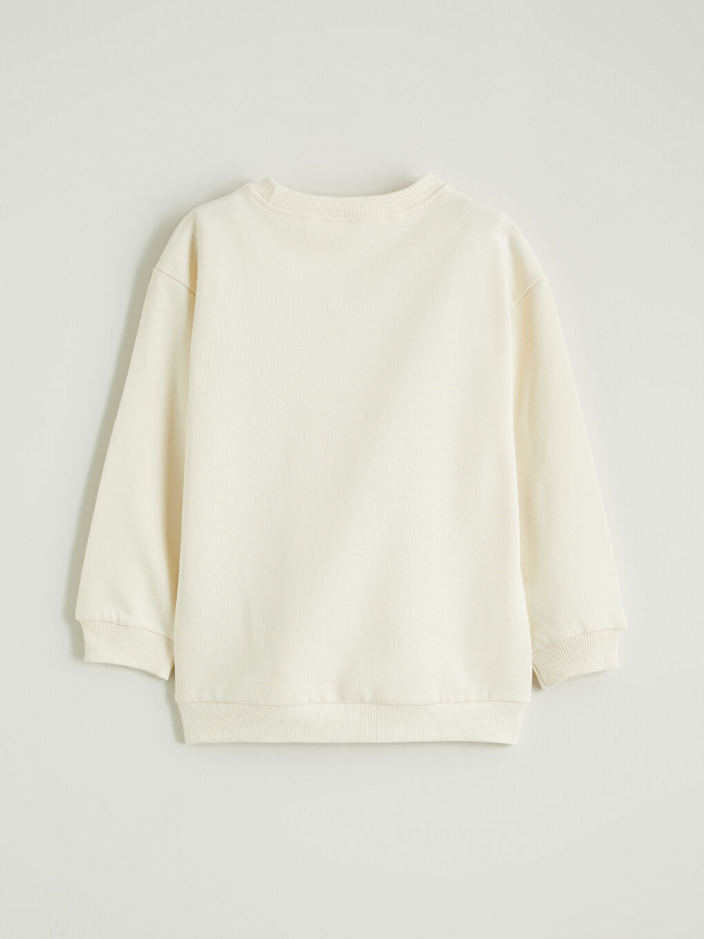 Момче Бежово Суитчър-2