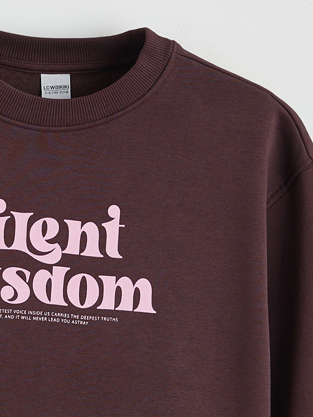 Kahverengi Bisiklet Yaka Baskılı Kız Çocuk Kalın Sweatshirt-1