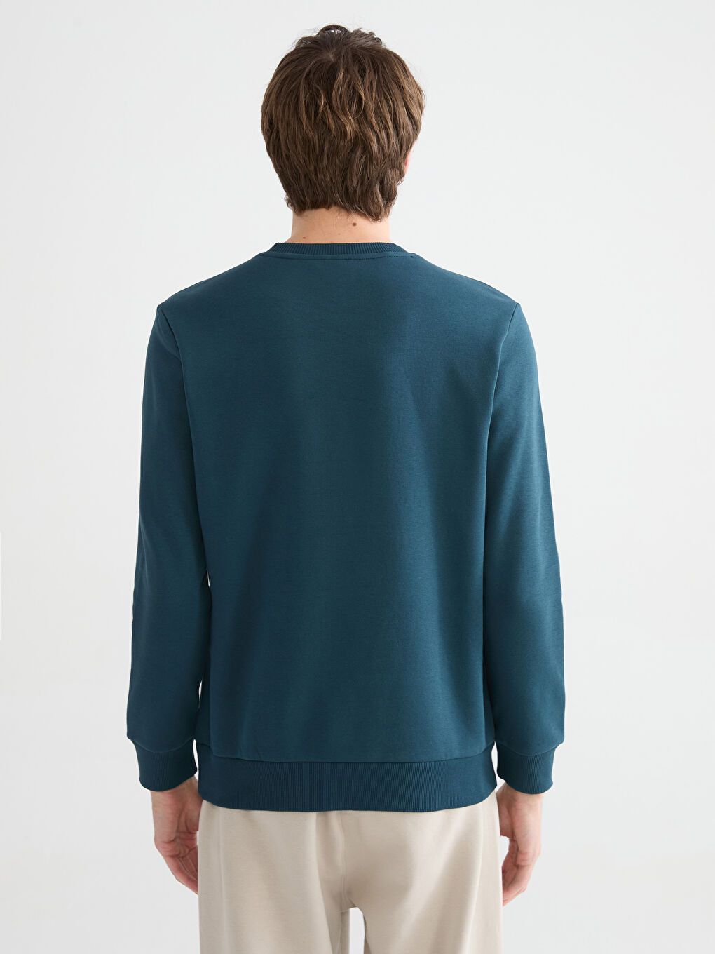 Crew Neck Printed Men's Thick Sweatshirt-3