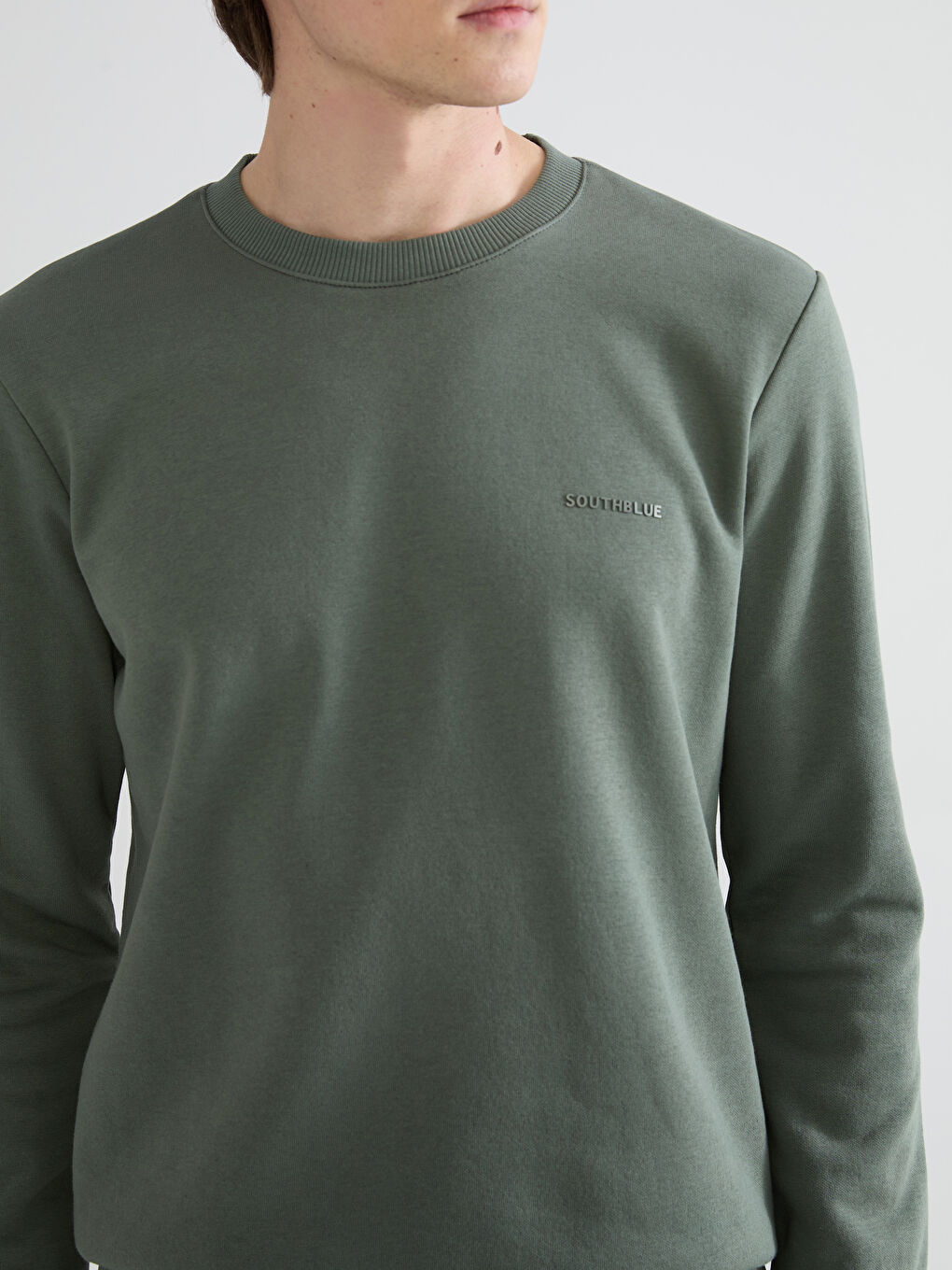 Crew Neck Printed Men's Thick Sweatshirt-2