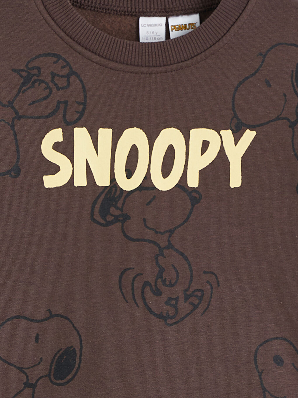 Crew Neck Snoopy Printed Boys' Sweatshirt-1