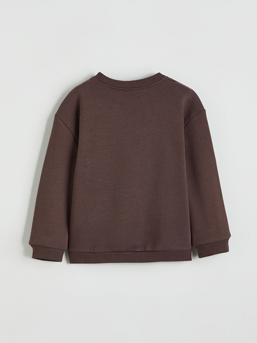 Crew Neck Snoopy Printed Boys' Sweatshirt-3