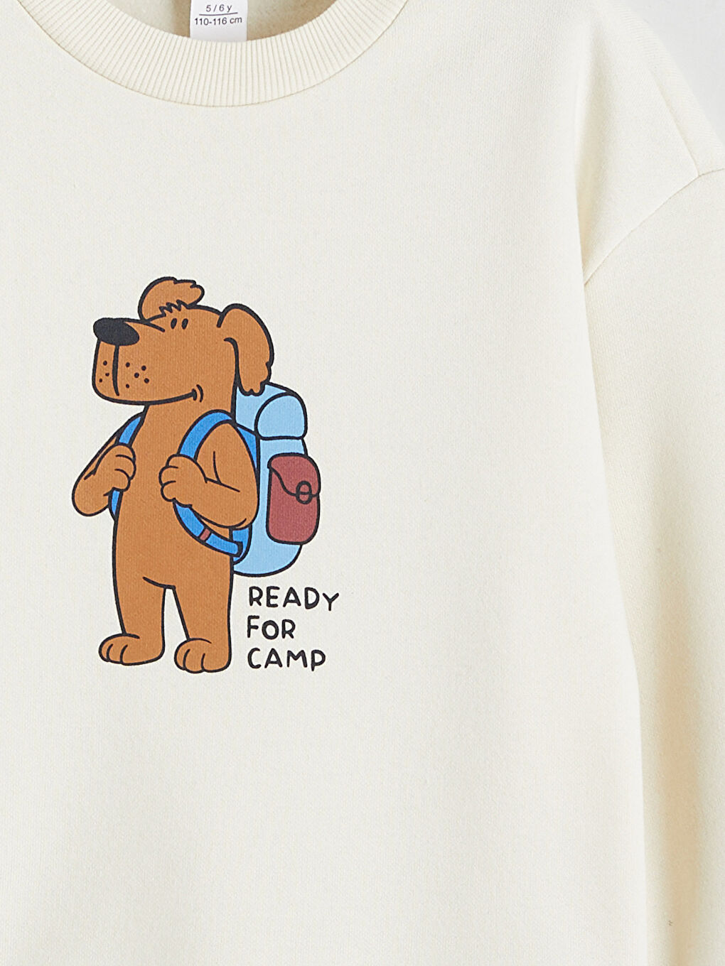 Bej Baskılı Erkek Çocuk Kalın Sweatshirt-2