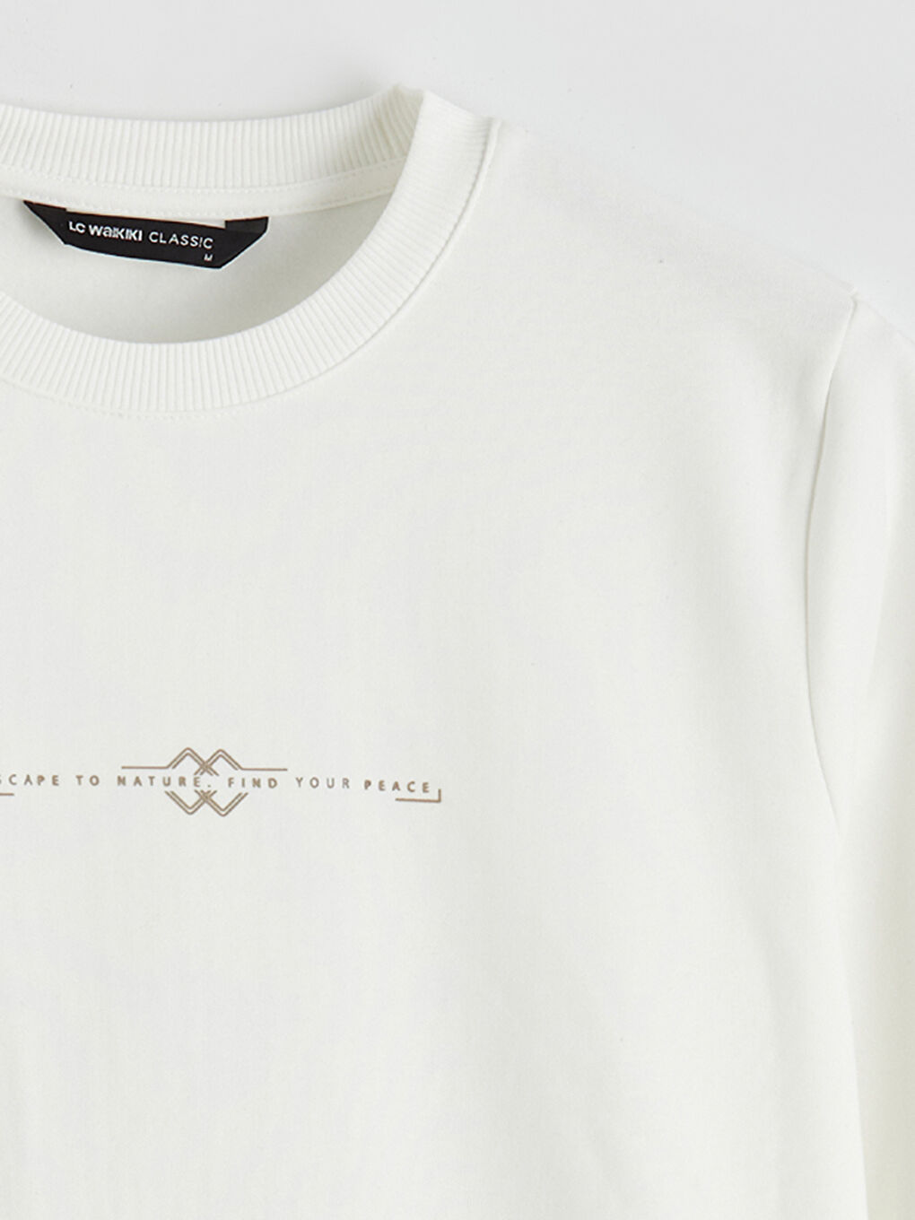 Ekru Bisiklet Yaka Baskılı Erkek Kalın Sweatshirt-5