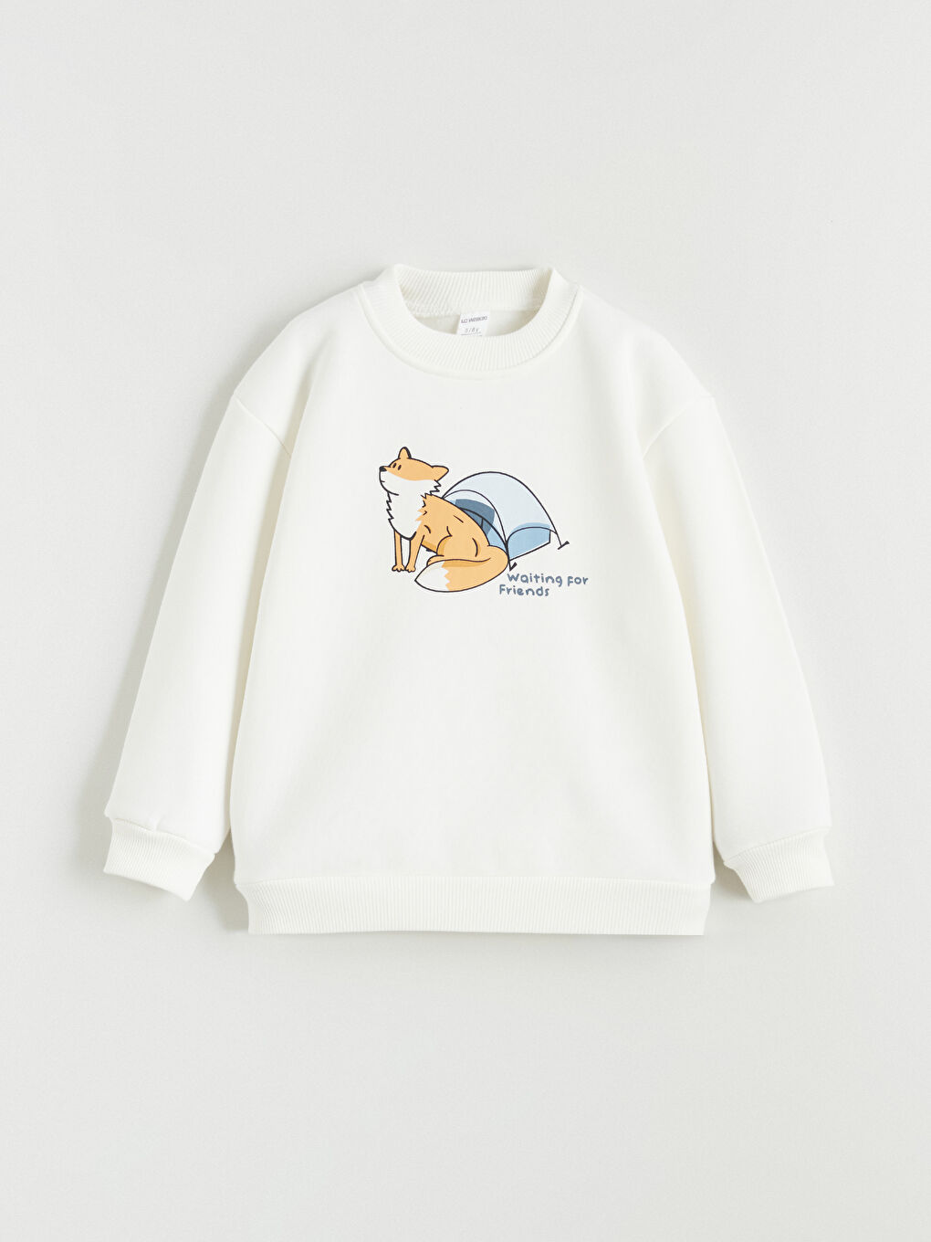 Printed Boys' Thick Sweatshirt