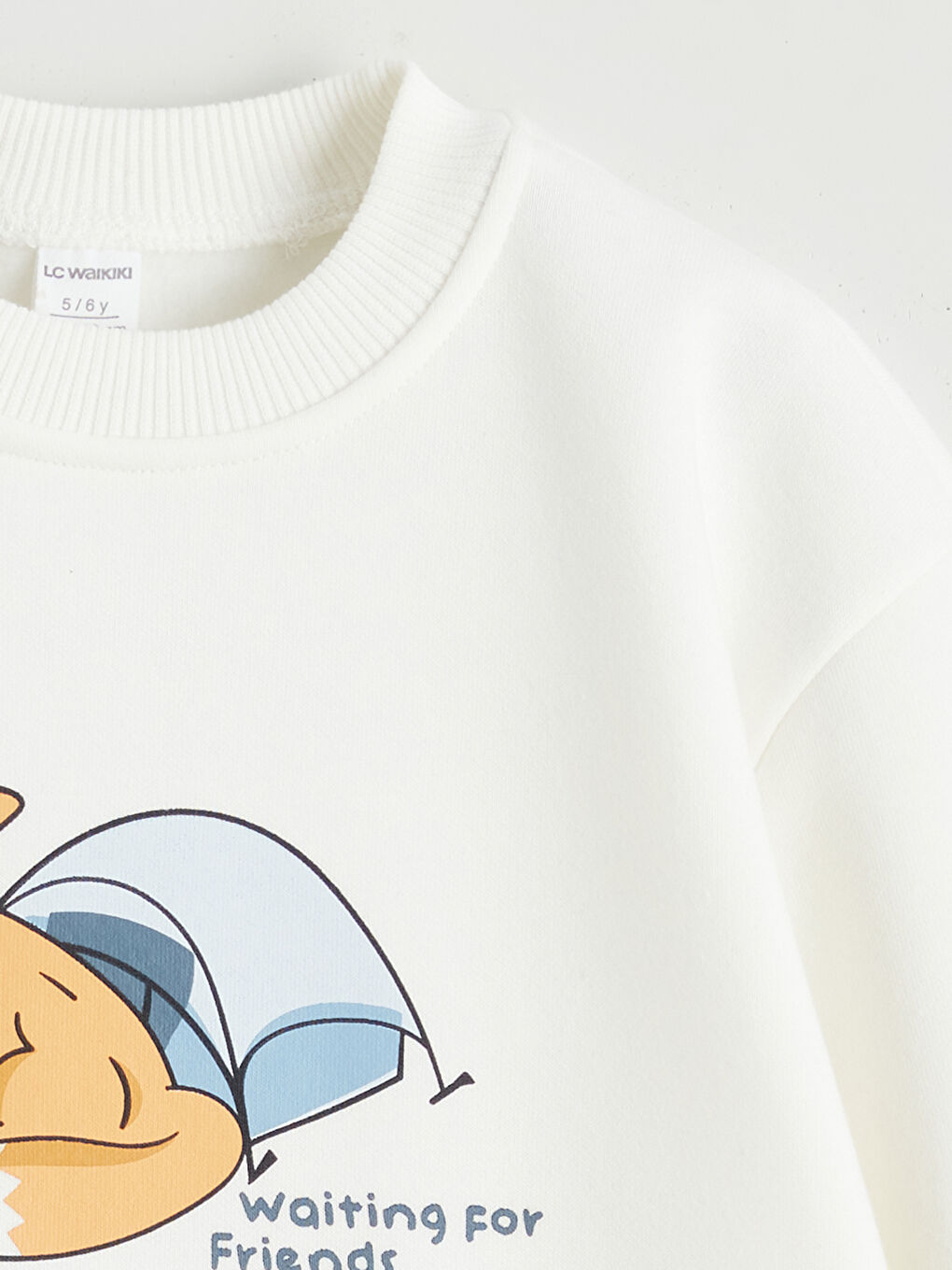 Printed Boys' Thick Sweatshirt-1