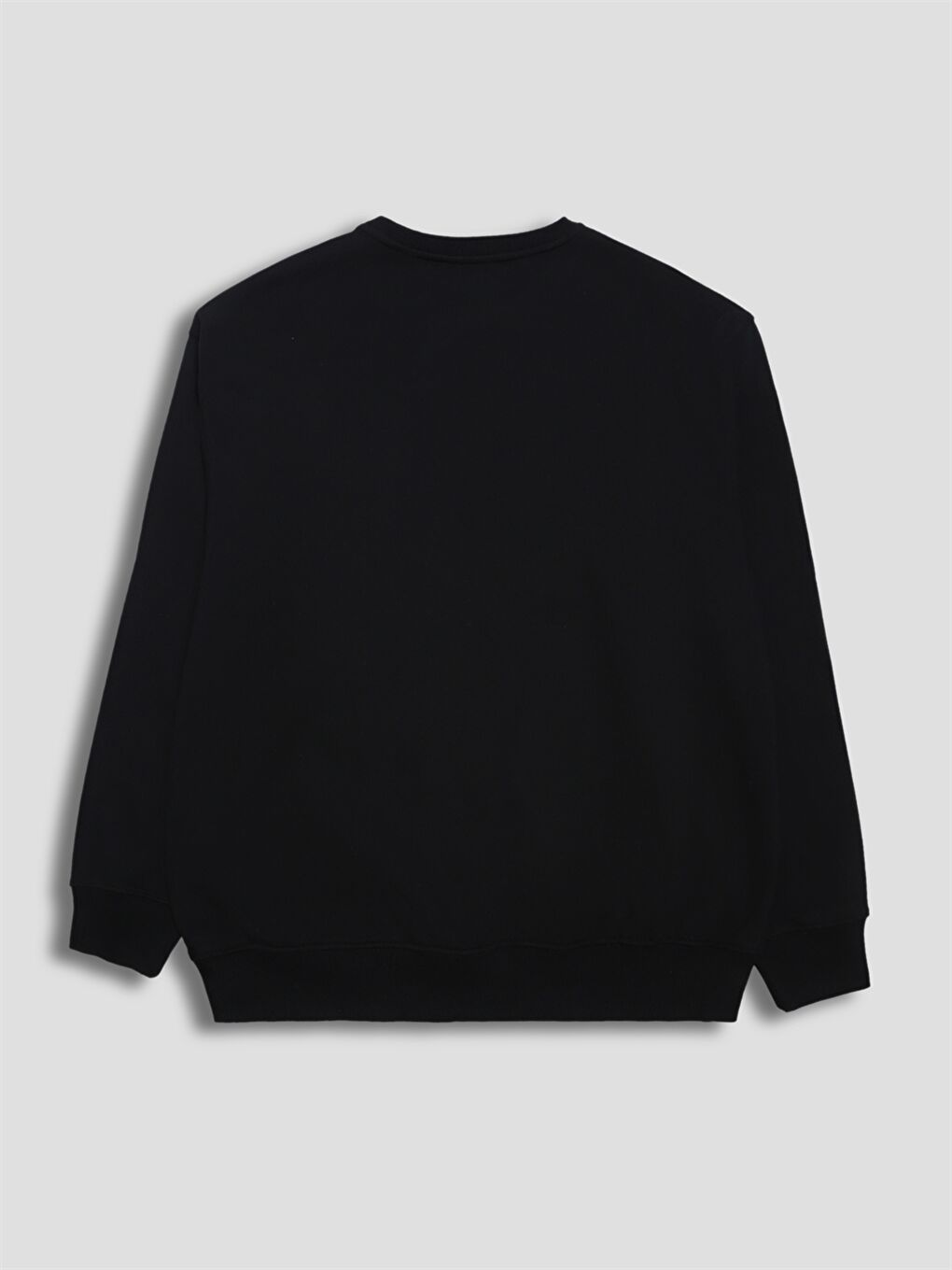 Crew Neck Printed Men's Thick Sweatshirt-1