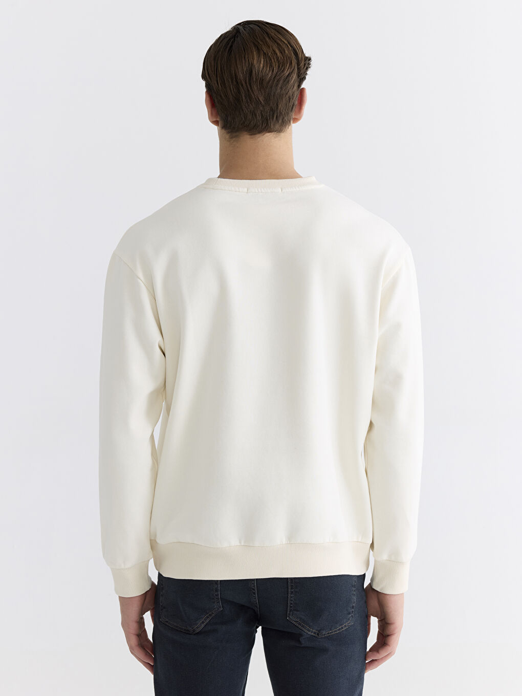 Crew Neck Printed Men's Thick Sweatshirt-3