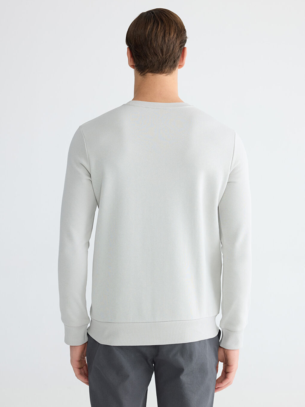 Crew Neck Printed Men's Thick Sweatshirt-3