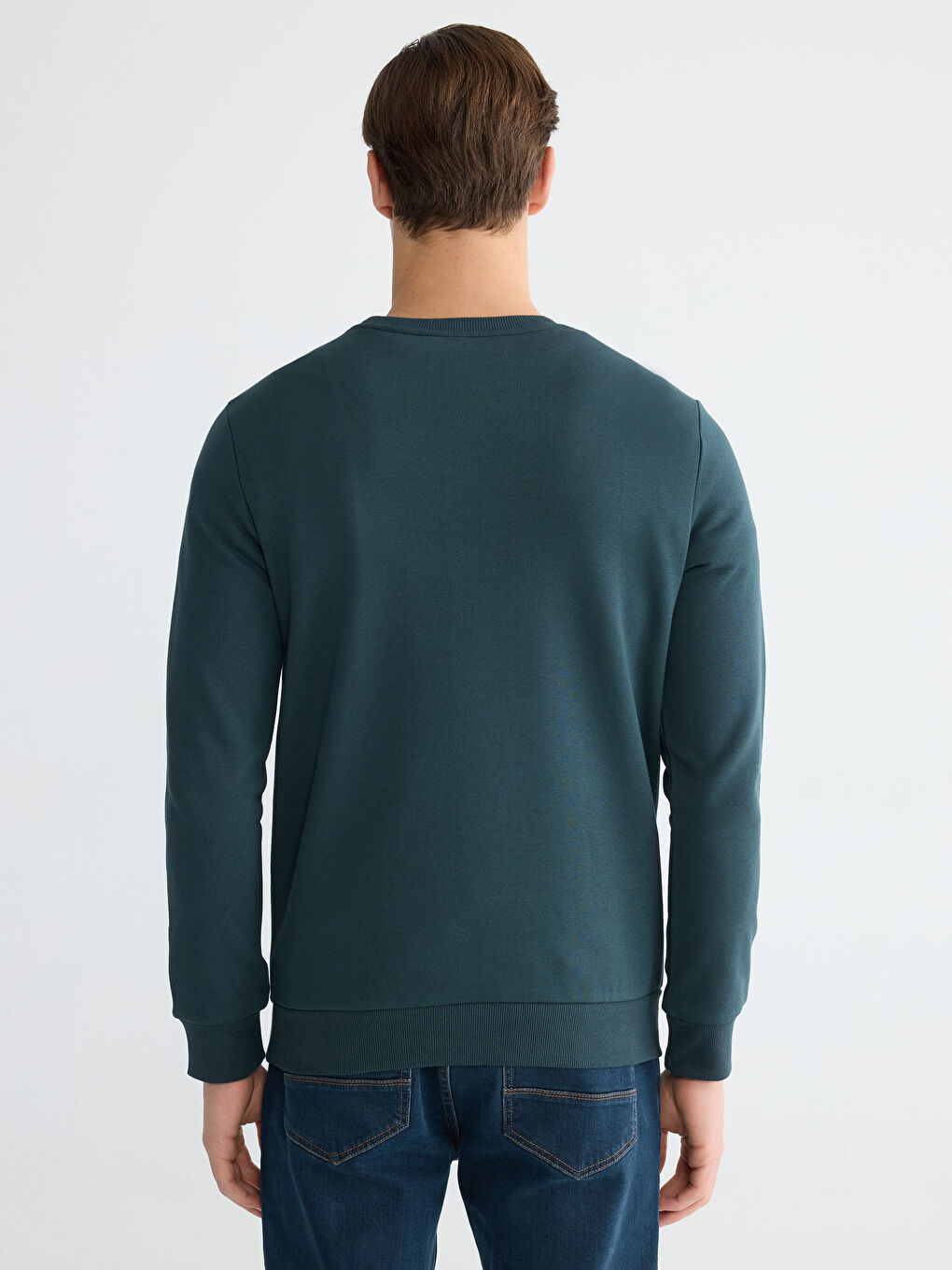 Crew Neck Printed Men's Thick Sweatshirt-3