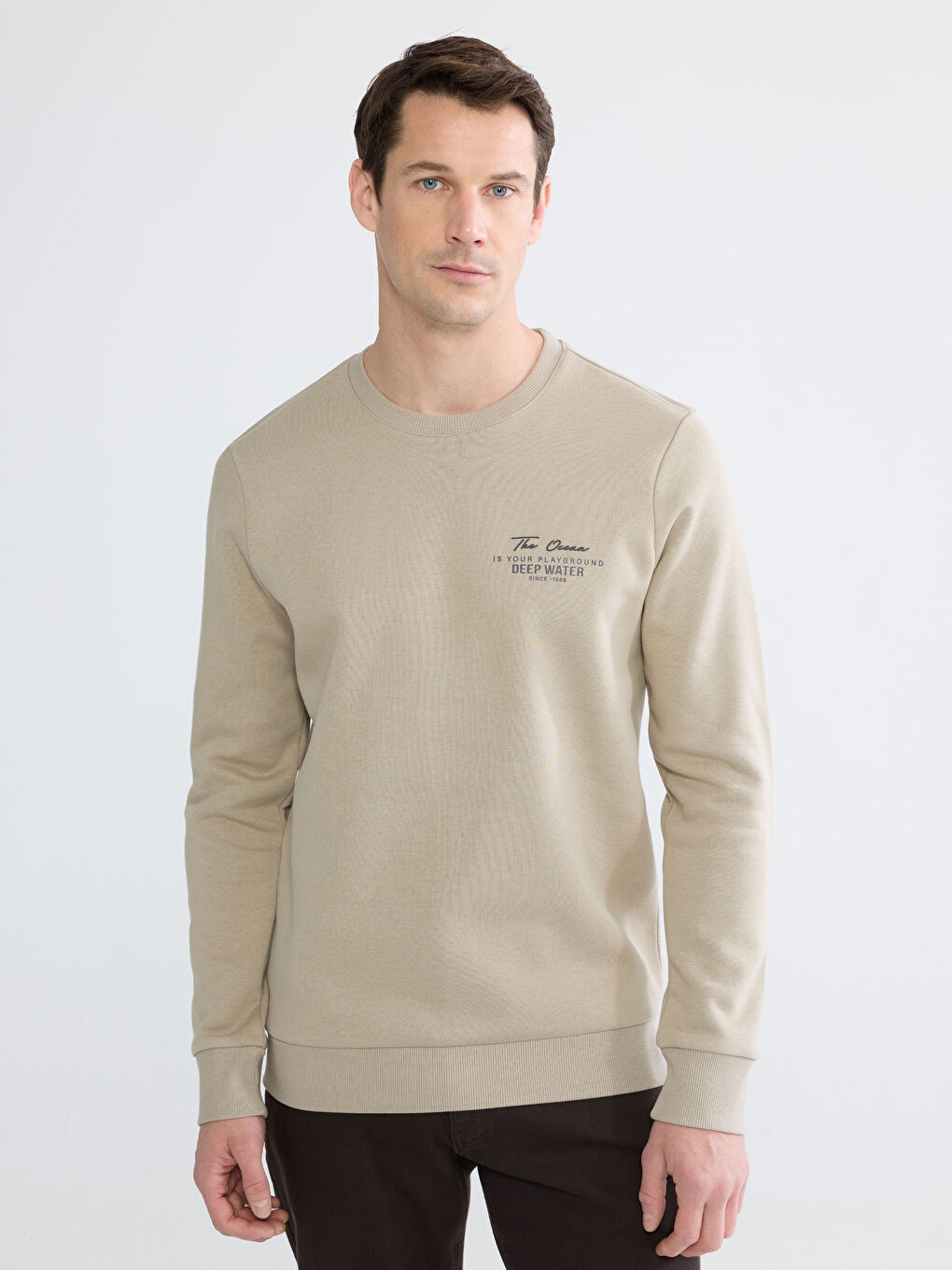 Crew Neck Men's Thick Sweatshirt