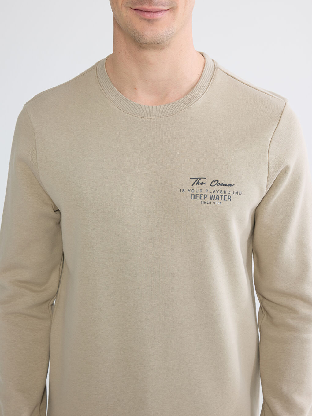 Crew Neck Men's Thick Sweatshirt-2