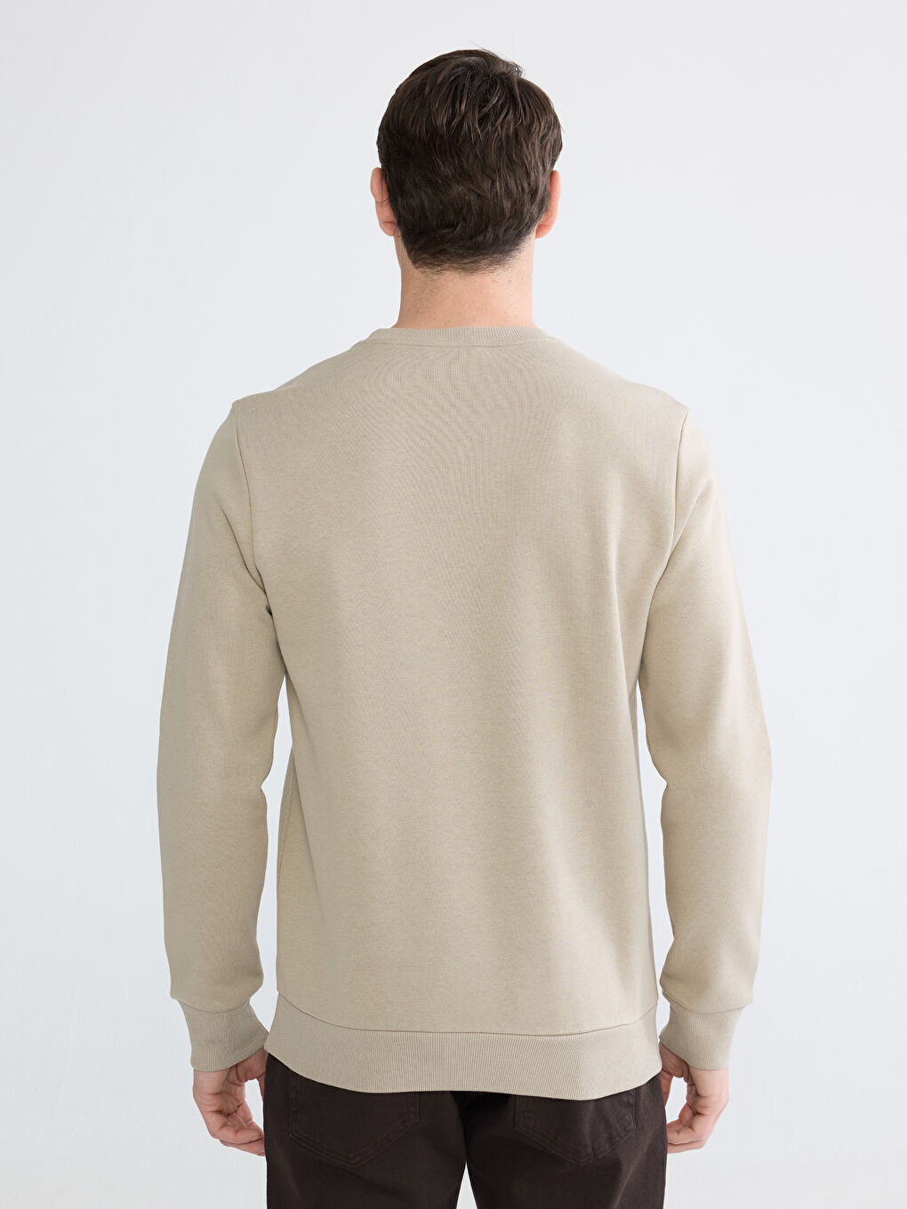 Crew Neck Men's Thick Sweatshirt-3