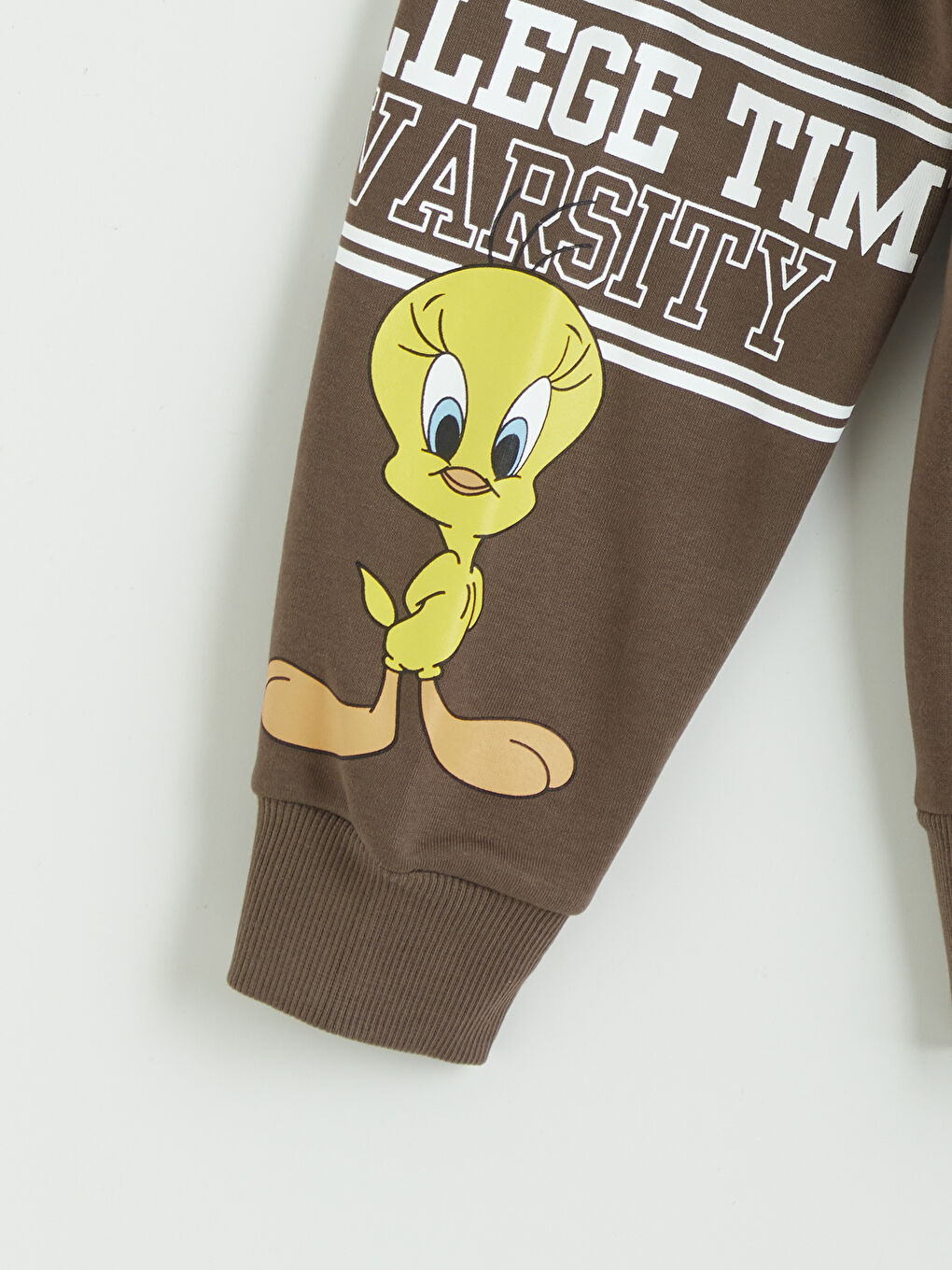 Kahverengi Looney Tunes Baskılı Kadın Kalın Sweatshirt-5