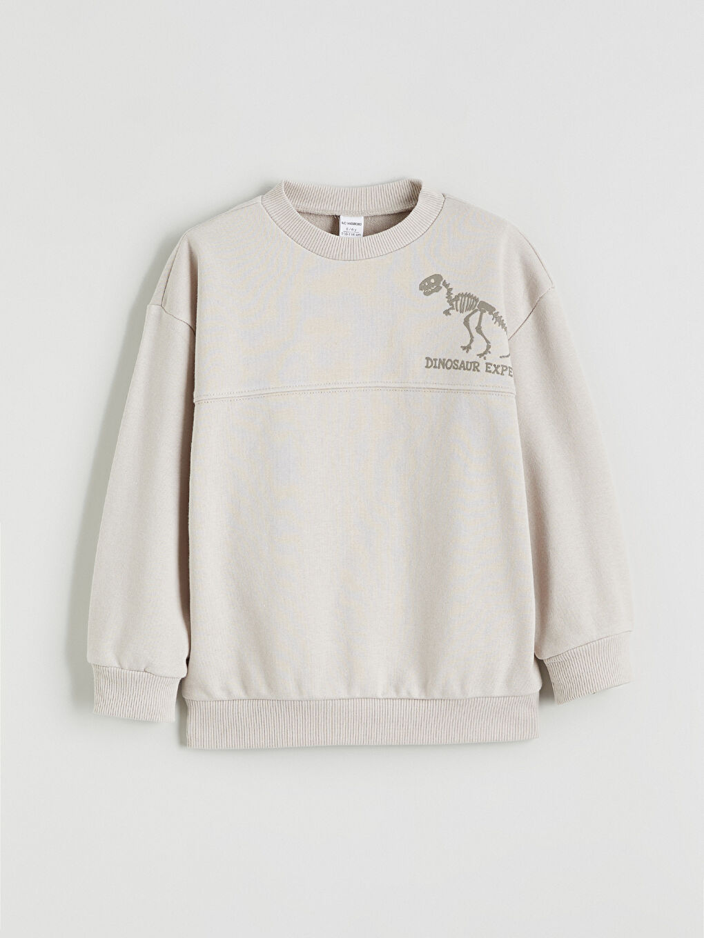 Gri Dinozor Baskılı Erkek Çocuk Sweatshirt