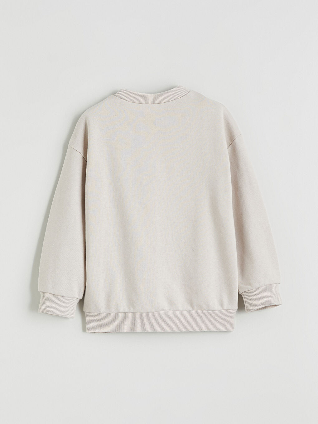 Gri Dinozor Baskılı Erkek Çocuk Sweatshirt-1