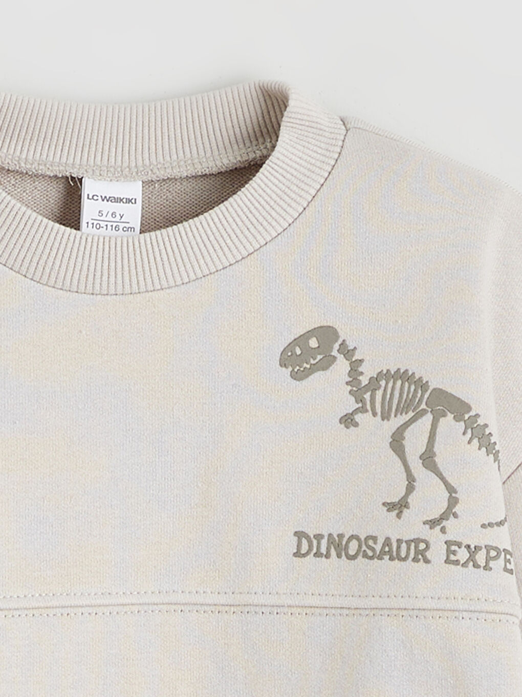 Gri Dinozor Baskılı Erkek Çocuk Sweatshirt-2