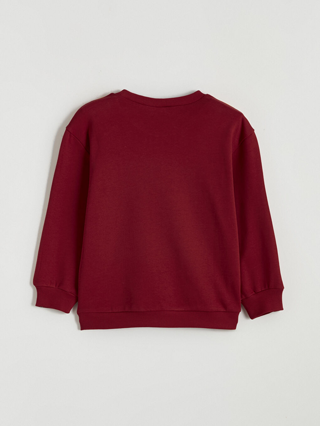 Galatasaray Printed Boys' Thick Sweatshirt-4