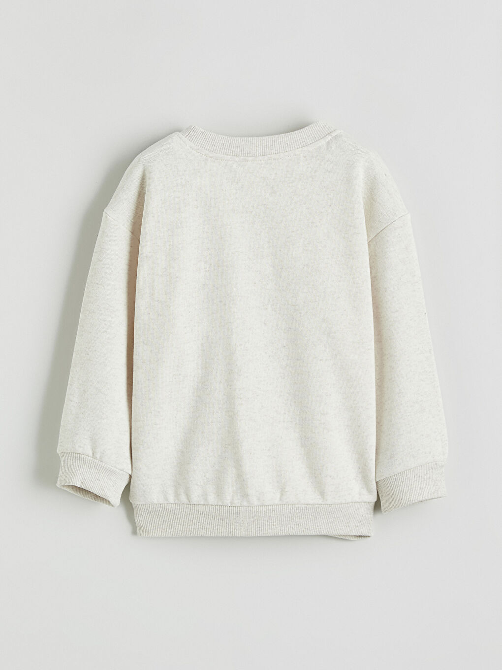 Printed Boys' Thick Sweatshirt-3