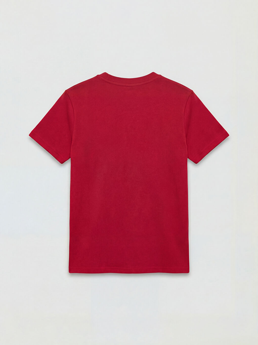 Crew Neck Printed Boys' T-Shirt-1