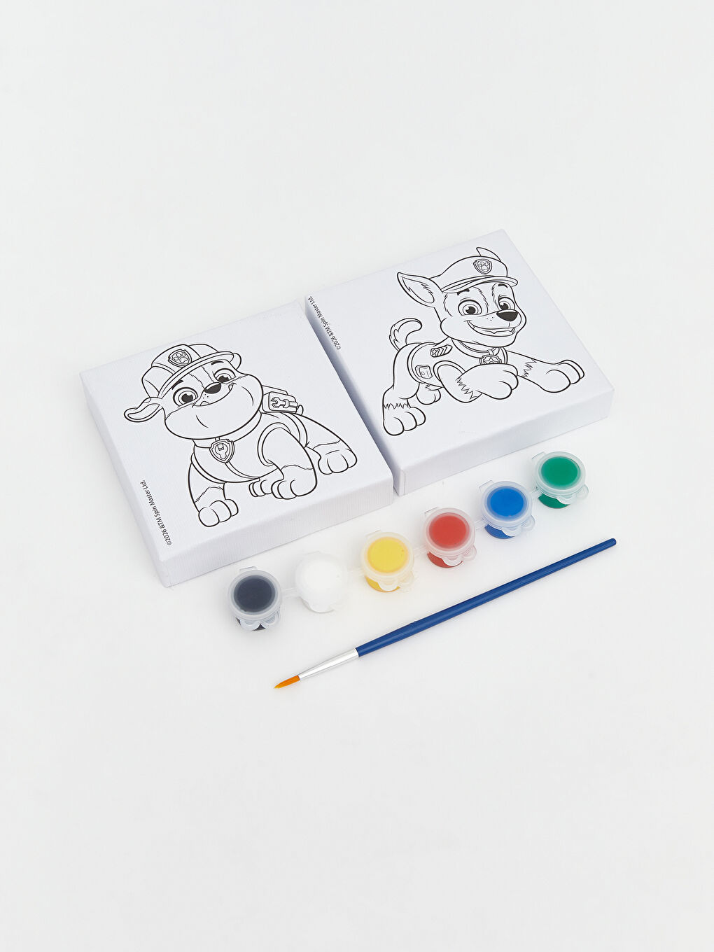 Paw Patrol Baskılı Boyama Seti-1