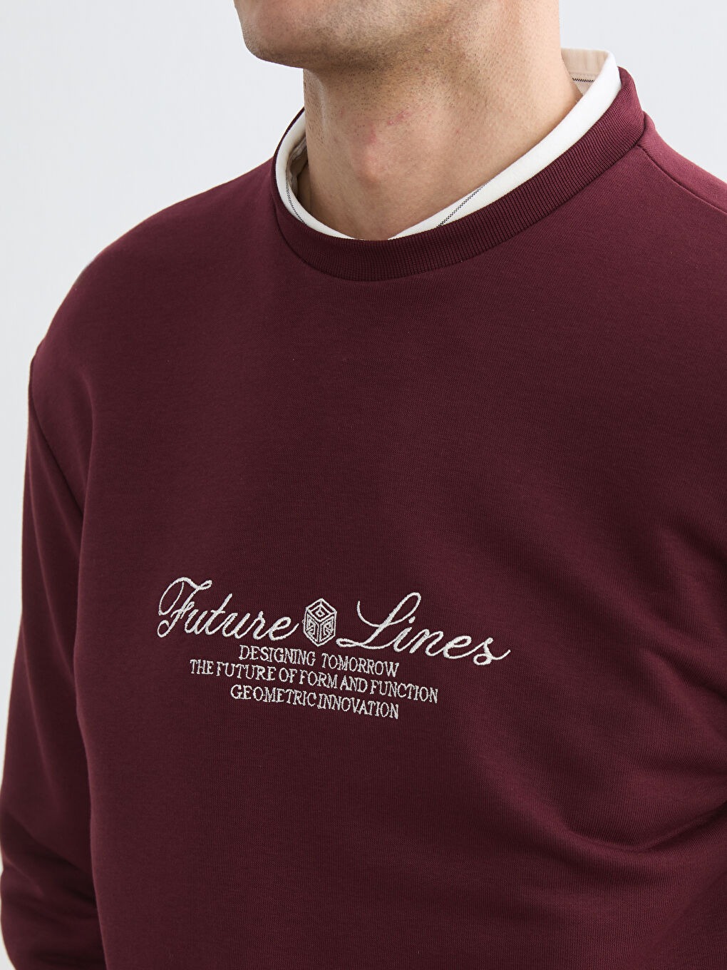 Crew Neck Printed Men's Sweatshirt-2