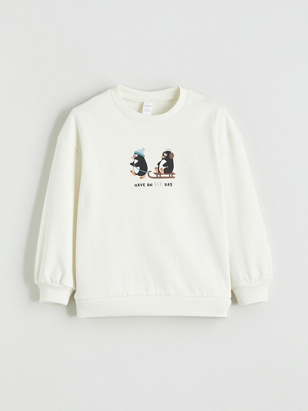 Bej Baskılı Erkek Çocuk Kalın Sweatshirt