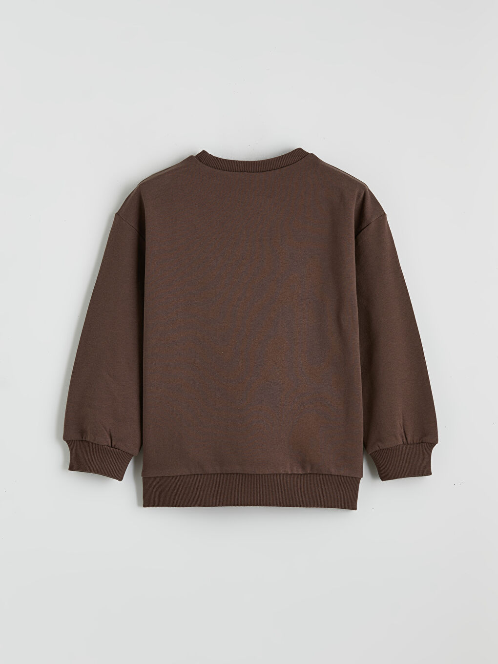 Kahverengi Ayı Nakışlı Erkek Çocuk Kalın Sweatshirt	-2
