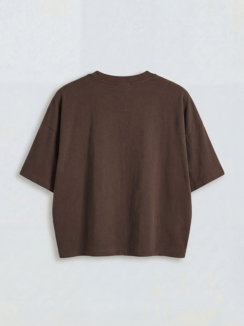 Kahverengi Bisiklet Yaka Kadın Tişört-1