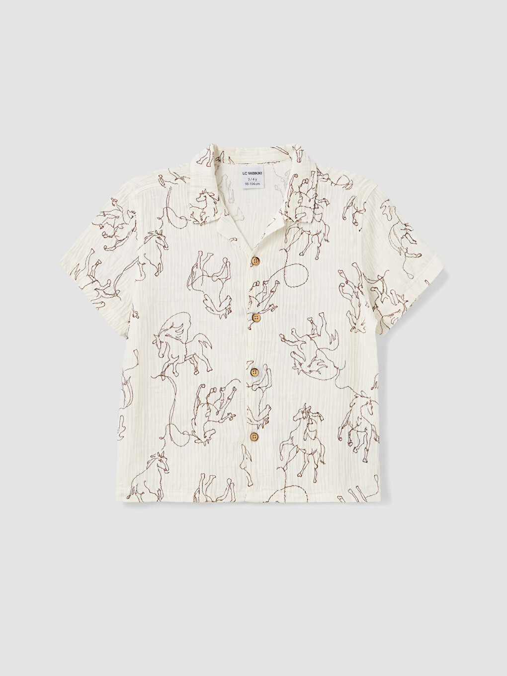 Boy Brown Shirt