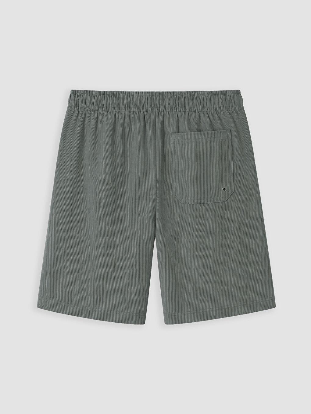 Man Khaki Swimming Shorts-2
