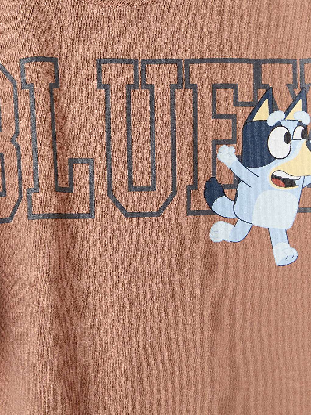 Kahverengi Bluey Baskılı Erkek Çocuk Tişört-1