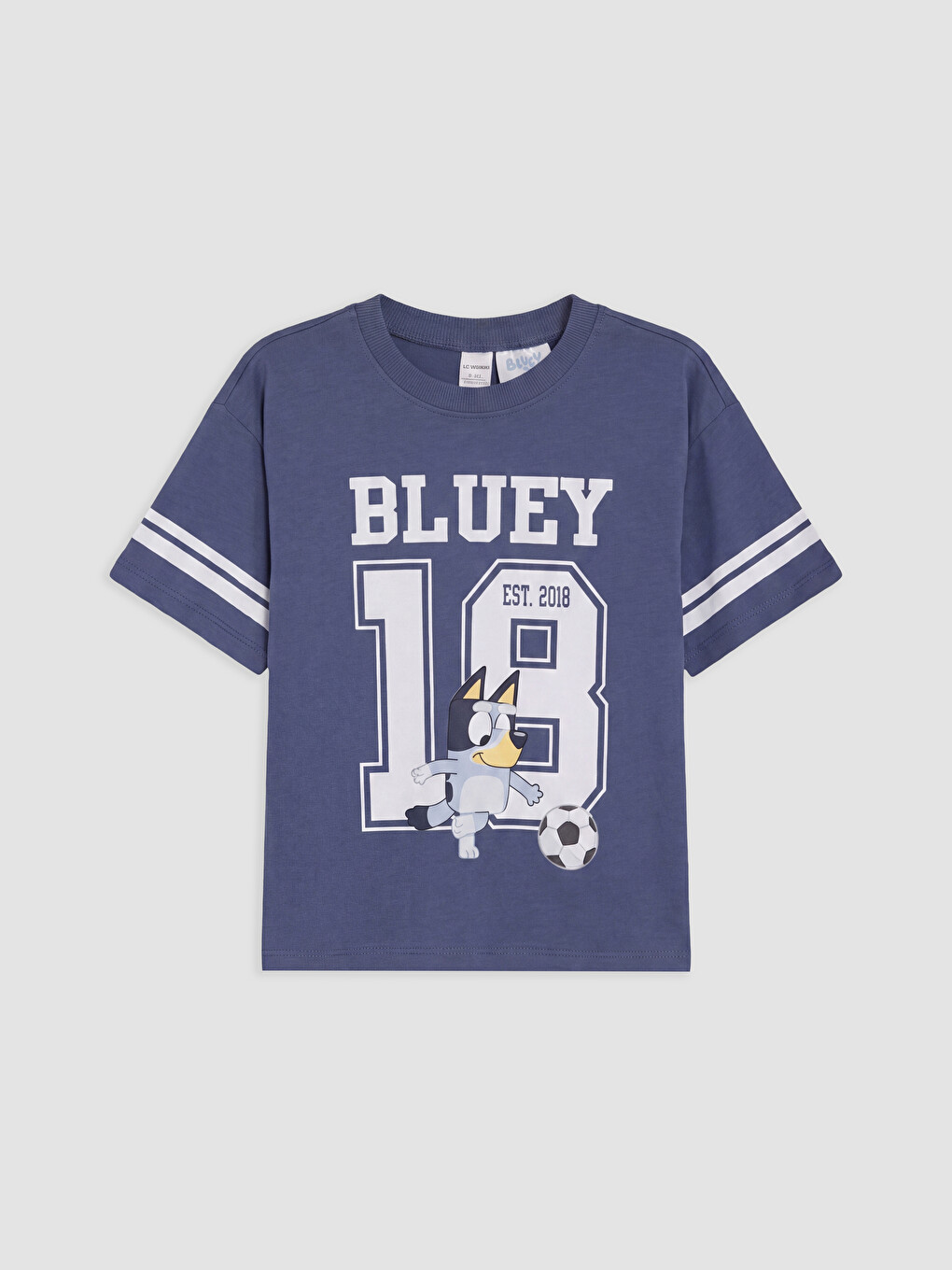 Mavi Bisiklet Yaka Bluey Baskılı Erkek Çocuk Tişört