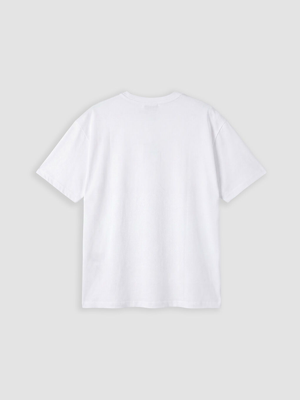 Beyaz Bisiklet Yaka Nakışlı Kadın Tişört-1