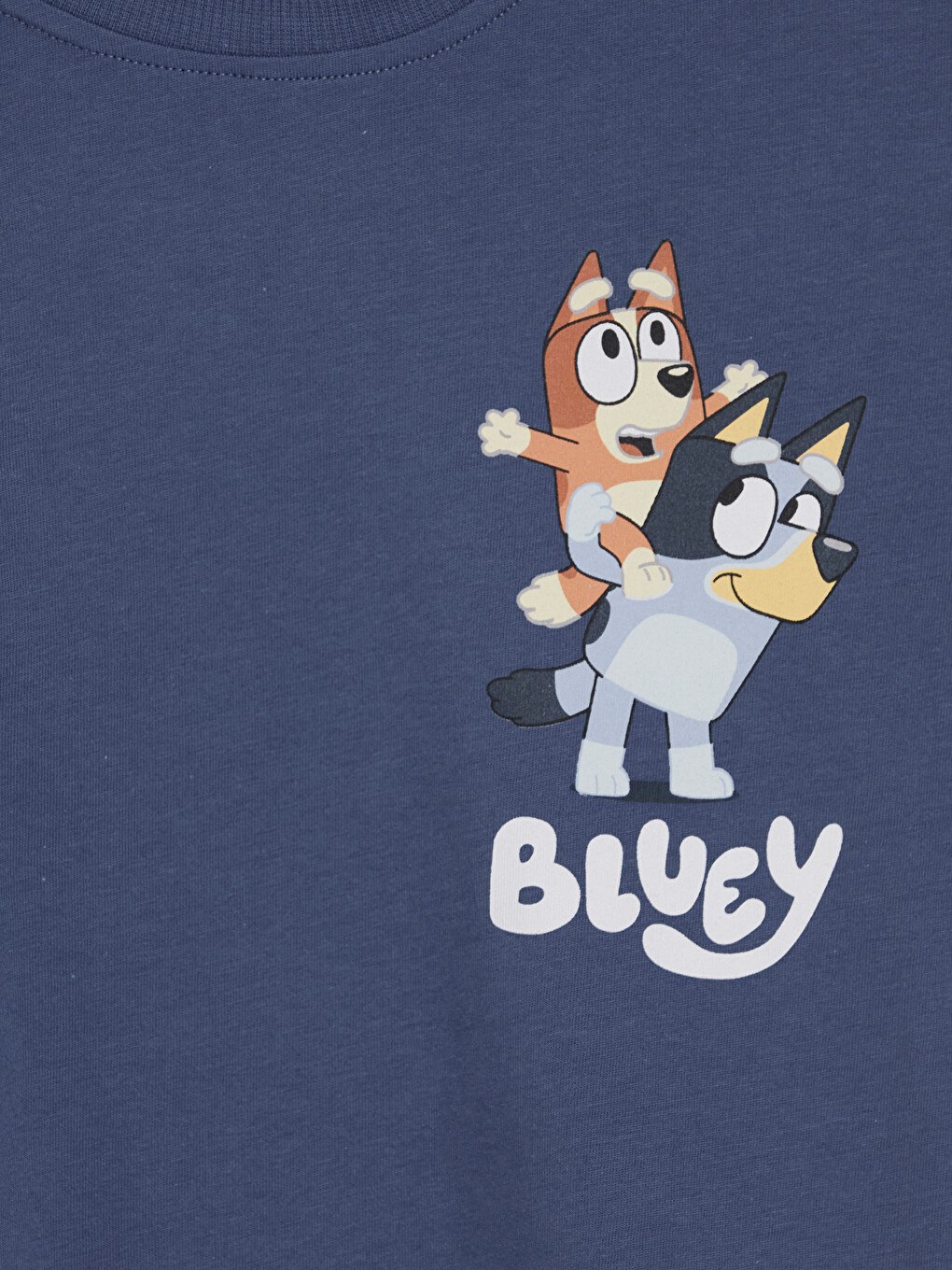 Mavi Bluey Baskılı Erkek Çocuk Takım-5