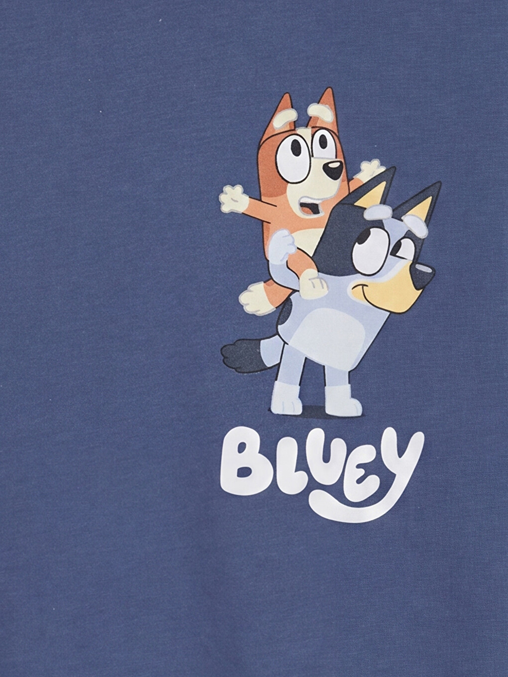 Mavi Bluey Baskılı Erkek Çocuk Takım-1