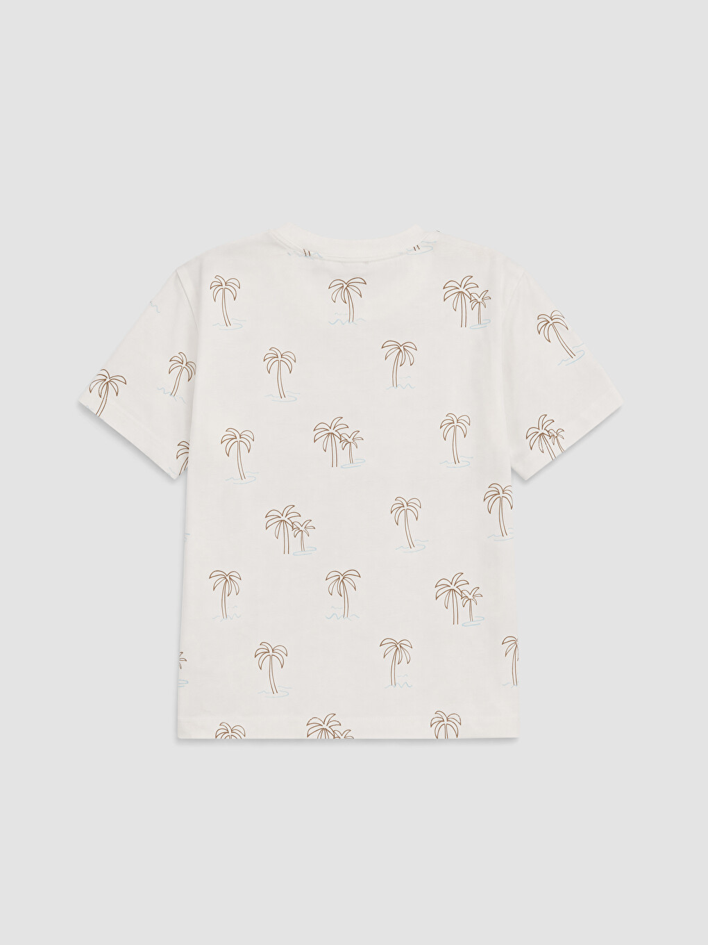Crew Neck Printed Boys' T-shirt-2