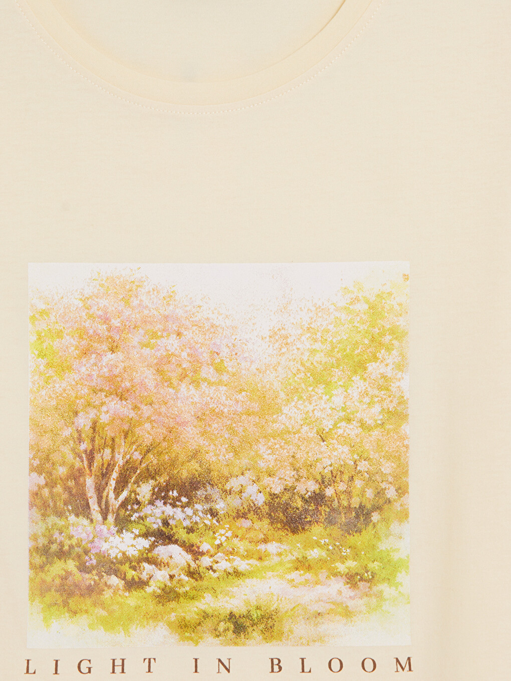 Printed 100% Cotton Women's T-Shirt-5
