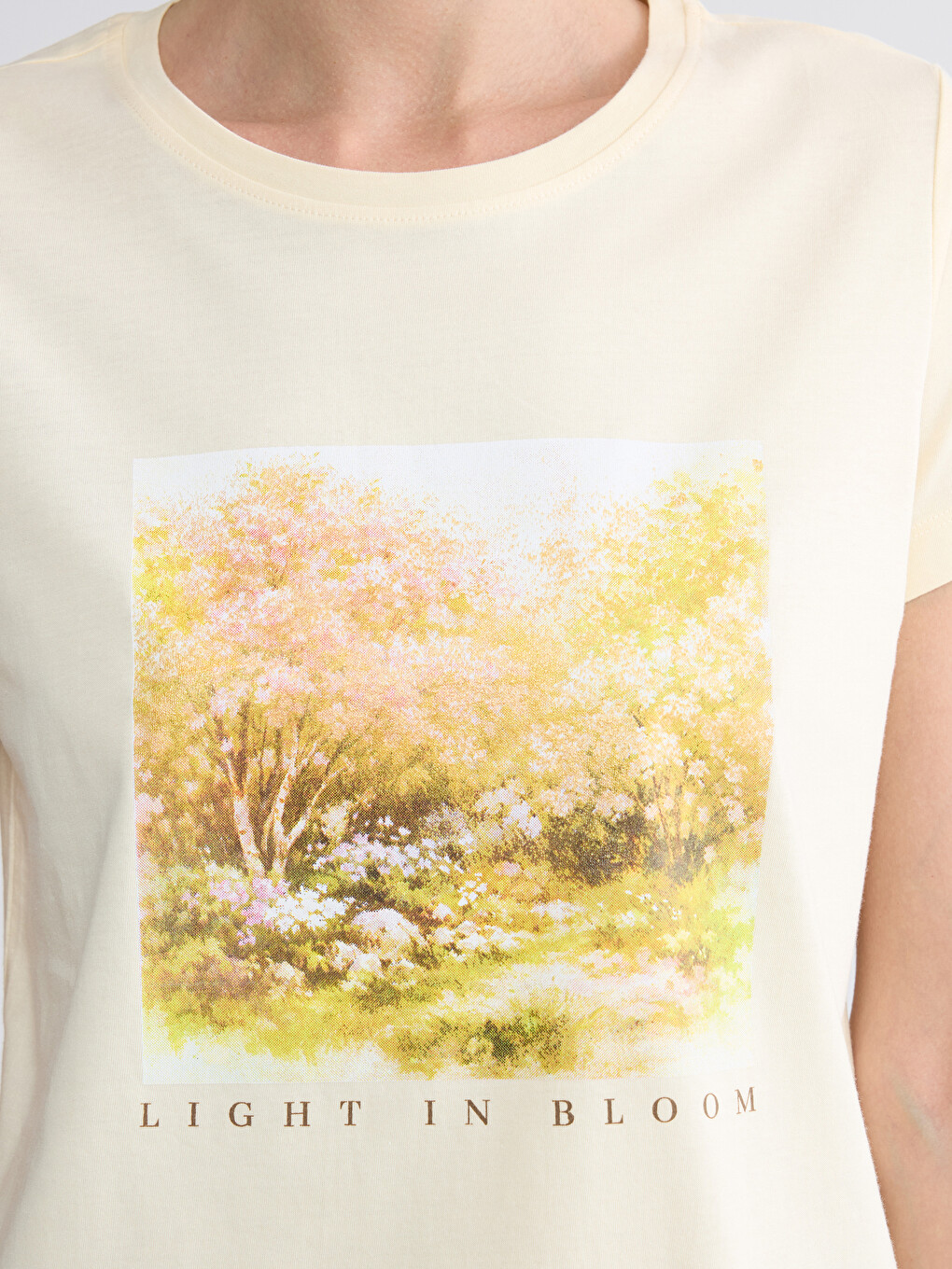 Printed 100% Cotton Women's T-Shirt-2