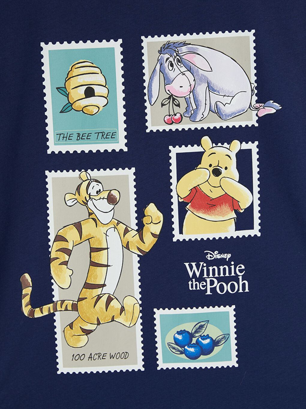 Winnie the Pooh Printed Women's T-Shirt-3