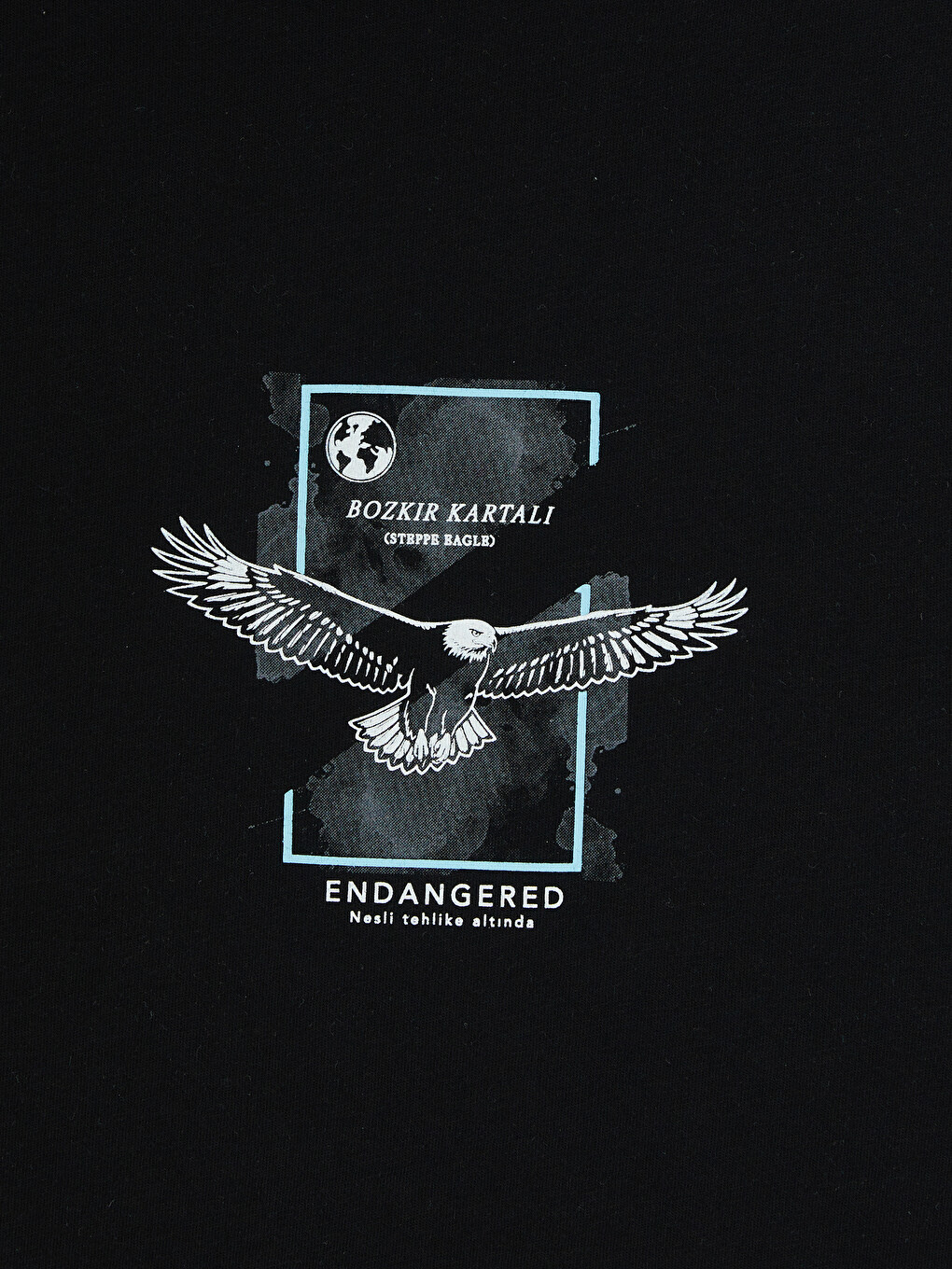 Crew Neck Printed Men's T-Shirt-6